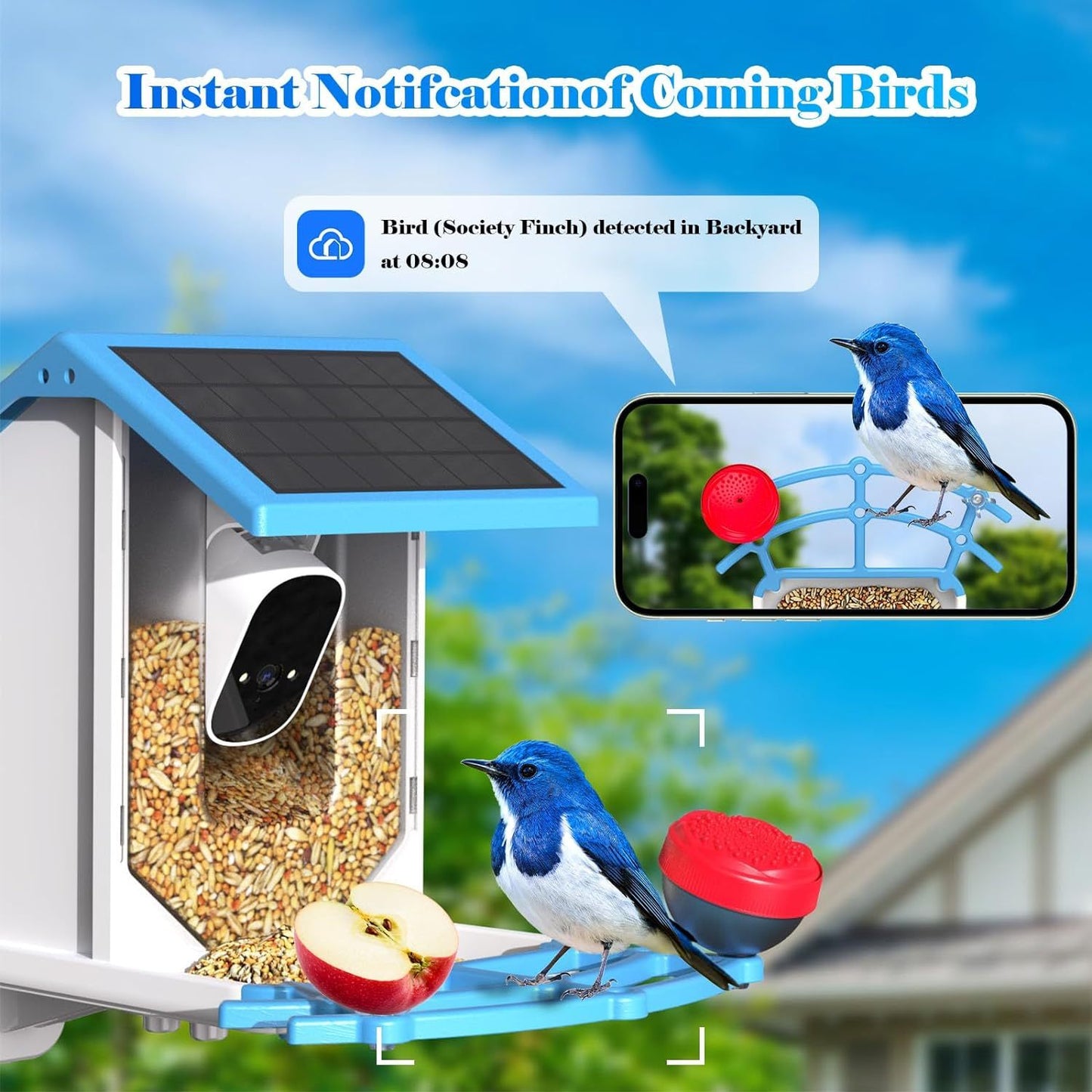 Smart Bird Feeder With Camera,Solar-Powered WiFi 4MP Live Camera,AI Identify Bird Species Auto Capture Garden Bird Watching&Motion Detection,Ideal Gift For Bird Lovers,Blue*Shipping to US only