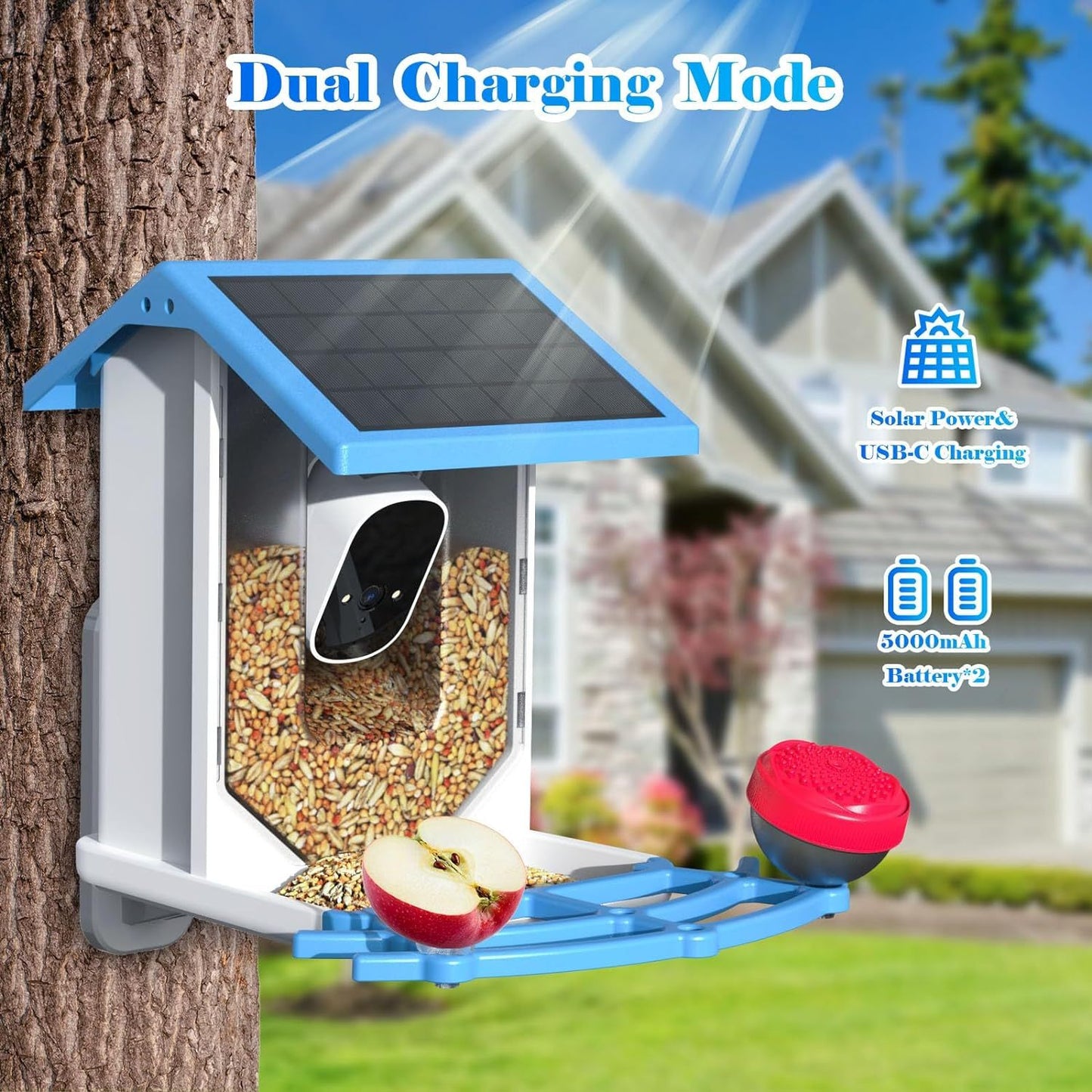 Smart Bird Feeder With Camera,Solar-Powered WiFi 4MP Live Camera,AI Identify Bird Species Auto Capture Garden Bird Watching&Motion Detection,Ideal Gift For Bird Lovers,Blue*Shipping to US only